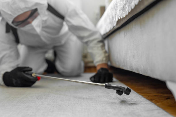 Professional Pest Control technician working in Gulf County County, FL